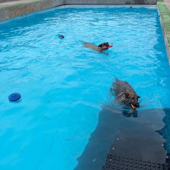 SC - Picture 8 of 17